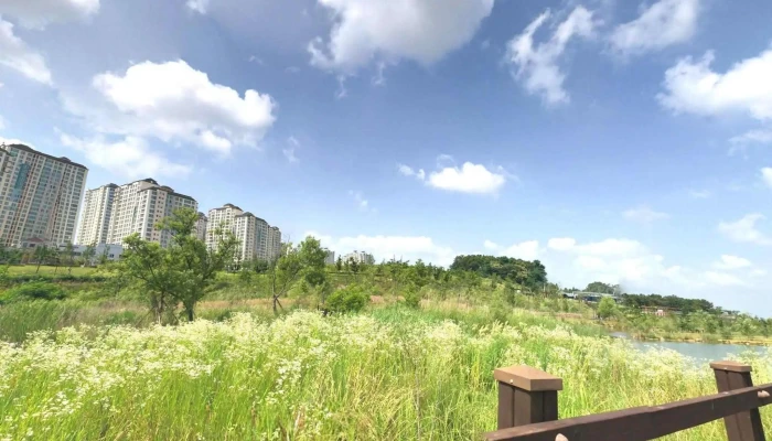 Unjeonghosugongweon Seuteuriteu Byu Mic 360deg - 파주시
