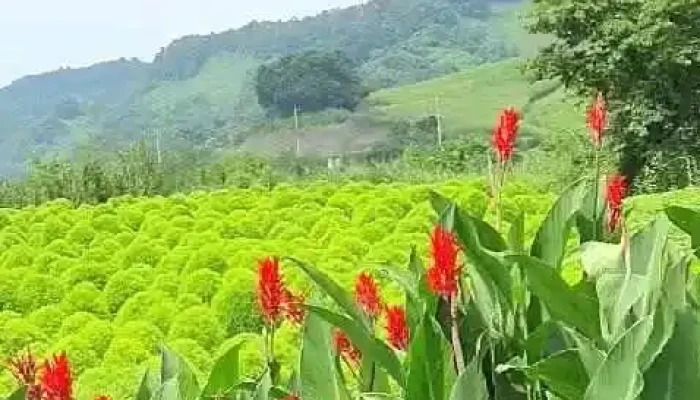 Yeonceongun Dongyeongsang - 연천군