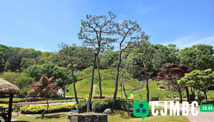 Yonginnongcontemapakeu Coesin - 용인시