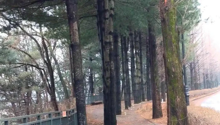 Yonginsi Dongyeongsang - 용인시