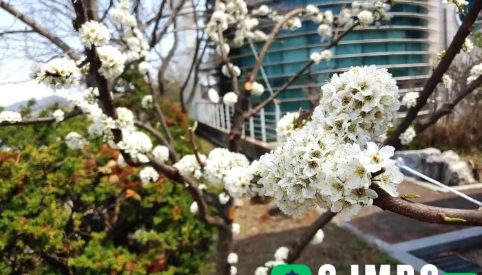 김포시농업기술센터 - 경기도 김포시
