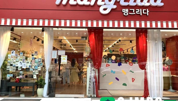 맹그리다 - 대구광역시