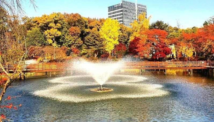 서울과학기술대학교 붕어방 - 서울특별시