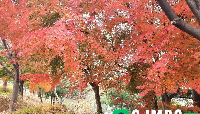 실크로드시앤티 평택공장 - 충청남도 아산시