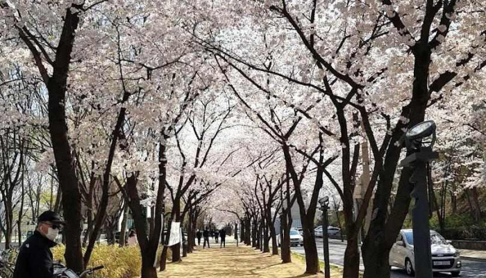 아르떼 수성랜드 - 수성구