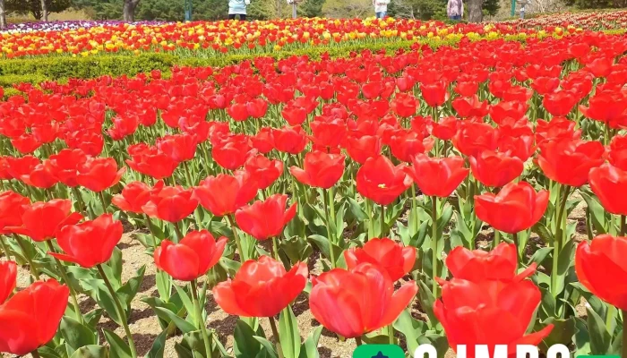 울산대공원 - 울산광역시