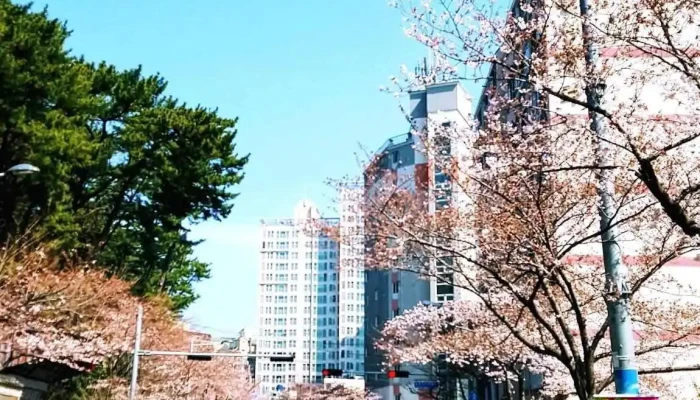 (재단)영남건설기술교육원 - 부산광역시
