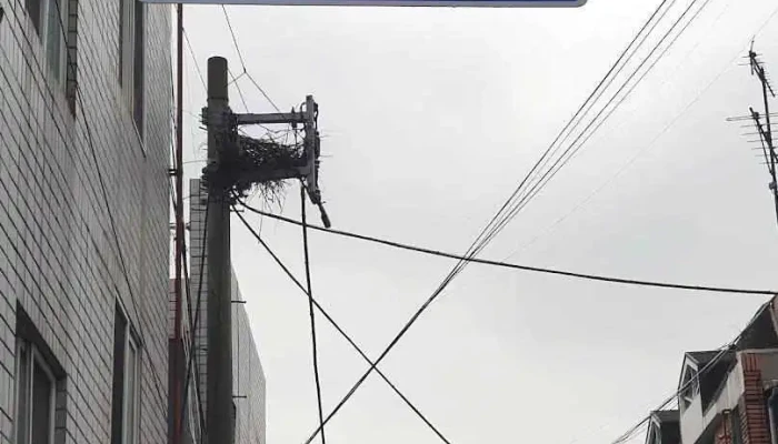 (주)단청콘텐츠컴파니 - 달서구