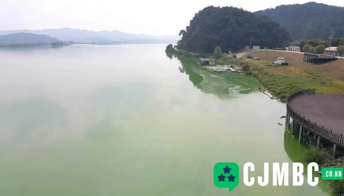 (주)도화종합기술공사 - 충청남도 부여군 양화면 내성리 79-1