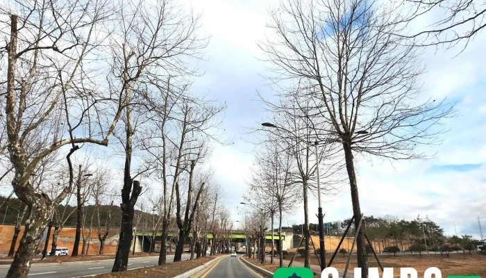 청주가로수길 - 충청북도 청주시