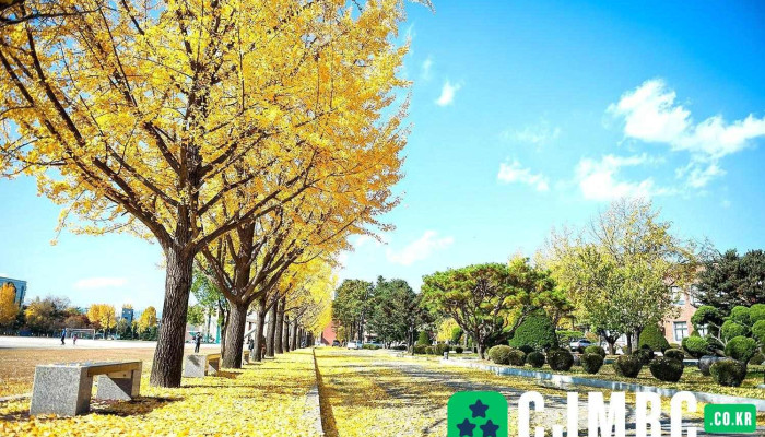 춘천교육대학교 - 강원특별자치도 춘천시