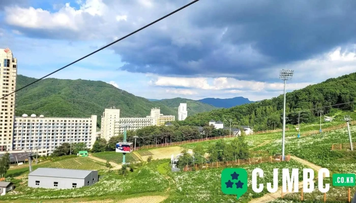 휘닉스 평창 오렌지동 - 강원특별자치도 평창군 봉평면 면온리 1089-3